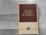 Sonetele pentru pian de Beethoven de Edwin Fischer