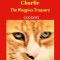 The Adventures of Charlie: Mr Magpie