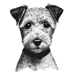 Sticker decorativ, Caine, Alb, 77 cm, 8355ST foto