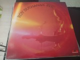 Vinil LP # "Japan Press" Roy Buchanan &lrm;&ndash; Second Album (VG++)