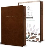 Biblia Reina Valera 1960 Letra Grande. S