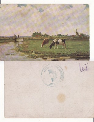 Carte postala-peisaj, moara de vant-stampila Cercul Studentesc Buzau foto