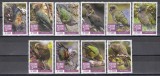 Sierra Leone 2020 - Păsări - Papagali Kea, MNH