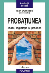 PROBATIUNEA - IOAN DURNESCU (TEORIE, LEGISLATIE SI PRACTICA) foto