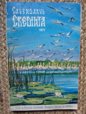 ORTOGRAFIE PENTRU TOȚI - MIOARA AVRAM foto