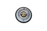 NRF 725063 EASY FIT termostat,lichid racire