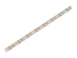 Bandă LED alb rece 12V IP65