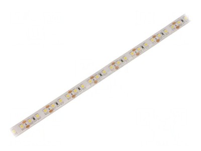 Bandă LED alb rece 12V IP65 foto