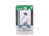 Lampă auto P14,5s alb-albastru 12V 55W VISIONPRO BLUE