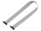 Cablu panglică SAMTEC IDC 10 pini 304,8mm FFSD-10-D-12.00-01-N