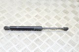 Amortizor haion dreapta TESLA MODEL 3 2019 OEM: 1091560-00-B 12564862