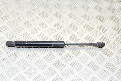 Amortizor haion dreapta TESLA MODEL 3 2019 OEM: 1091560-00-B 12564862 foto