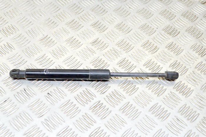 Amortizor haion dreapta TESLA MODEL 3 2019 OEM: 1091560-00-B 12564862