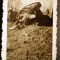 P.065 FOTOGRAFIE RAZBOI MILITAR GERMAN WWII SERBIEN SERBIA PANZER RASTURNAT