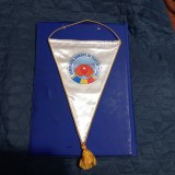 Fanion Fed. romana de Tenis de Masa