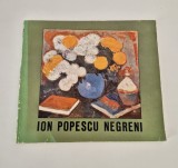 Album pictura Ion Popescu Negreni Carte cu autograf