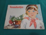 REVISTA LUMINIȚA *NR. 111963 * 900