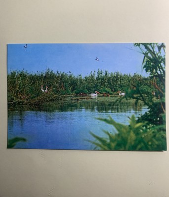 Carte poștală Delta Dunării foto