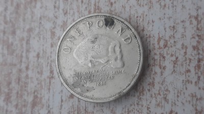 Gibraltar one pound 2009 - rara. foto