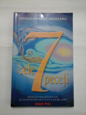 CELE 7 PECETI - OVIDIU-DRAGOS ARGESANU foto