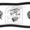 FEBI BILSTEIN 30580 Set curea de distributie