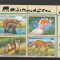 Fauna ,elefant,tigru,,,ONU posta SUA.