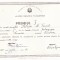 AMS - DIPLOMA PREMIUL I SCOALA (LICEUL) PEDAGOGIC SUCEAVA 1974 - 1975