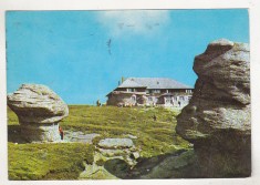 bnk cp Muntii Bucegi - Cabana Babele - circulata