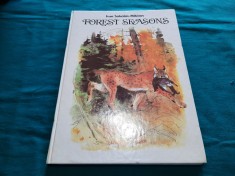 FOREST SEASONS * IVAN SOKOLOV MIKITOV/1989 *24 foto