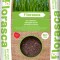 Pamant Ecologic pentru Iarba de Grau, Orz, Ovaz Paradisul Verde 3L