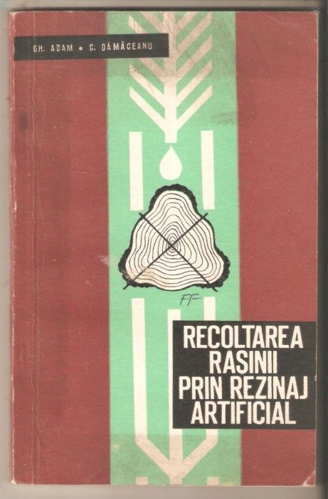 Recoltarea rasinii prin rezinaj artificial-C.Damaceanu