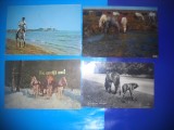 HOPCT LOT NR 408 CAI -FAUNA -5 CARTI POSTALE-CIRCULATE
