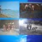 HOPCT LOT NR 408 CAI -FAUNA -5 CARTI POSTALE-CIRCULATE