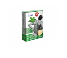 PLASTURE ANTIREUMATIC CU MENTOL 12*18CM foto
