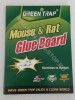 Capcana Adeziva Soareci si Sobolani, Mouse &amp; Rat Green Traps, Puternica, Ecologica, Non-Toxica