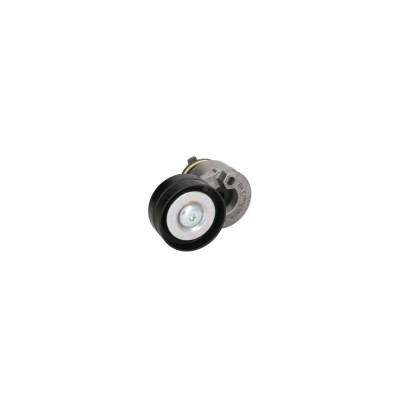 Intinzator curea NISSAN PRIMERA combi WP12 DAYCO APV2324 foto