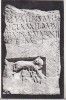 Bnk cp Muzeul regional de arheologie Constanta - Lupoaica alaptand pe Romulus si Remus - necirculata, Printata