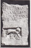 bnk cp Muzeul regional de arheologie Constanta - Lupoaica alaptand pe Romulus si Remus - necirculata
