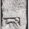 bnk cp Muzeul regional de arheologie Constanta - Lupoaica alaptand pe Romulus si Remus - necirculata