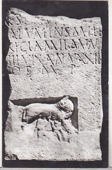 bnk cp Muzeul regional de arheologie Constanta - Lupoaica alaptand pe Romulus si Remus - necirculata