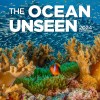 Ocean Unseen Wall Calendar 2024
