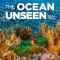 Ocean Unseen Wall Calendar 2024
