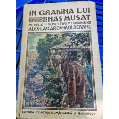 Alex Lascarov-Moldovan - In gradina lui Nas Musat