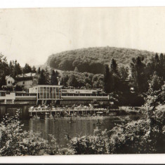 CPIB 17470 CARTE POSTALA - SOVATA. LACUL URSU