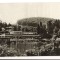 CPIB 17470 CARTE POSTALA - SOVATA. LACUL URSU