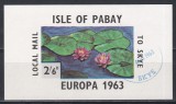 Pabay 1963 - Flori - Europa, Colita, NDT, Stampilata