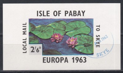 Pabay 1963 - Flori - Europa, Colita, NDT, Stampilata foto