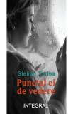 Punctul ei de vedere - Stelian Turlea