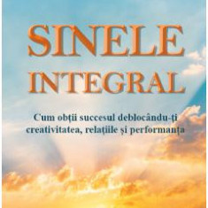 Sinele integral - Mike Robbins