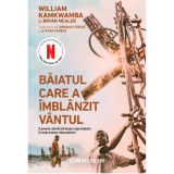 Cumpara ieftin Baiatul care a imblanzit vantul. Tie-in, William Kamkwamba, Bryan Mealer, Corint